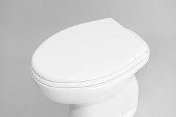 CW1252P CW1252P WC-bril en deksel met een houten kern