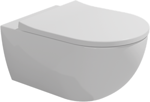 APP GoGLean wandcloset met bidet voorbereiding incl. ERAS (Bidetsproeier inbegrepen) APP GoGLean wandcloset met bidet voorbereiding incl. ERAS (Bidetsproeier inbegrepen) Glans Wit 