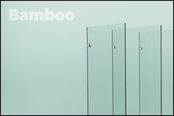 Bamboo