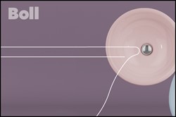 Boll